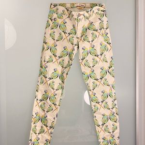 Parrot Print Jeans